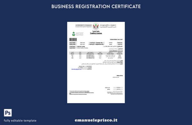 stile verificato Licenza commerciale Emirati Arabi Uniti Sharjah Modello Word  2
